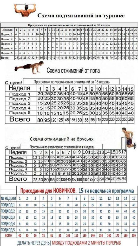 Программы для тренировки программирования