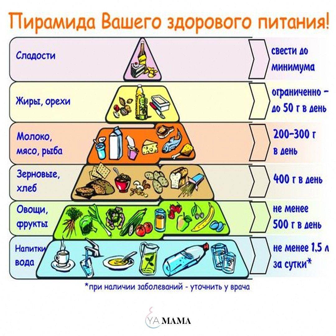 картинки правильное питание для школьника