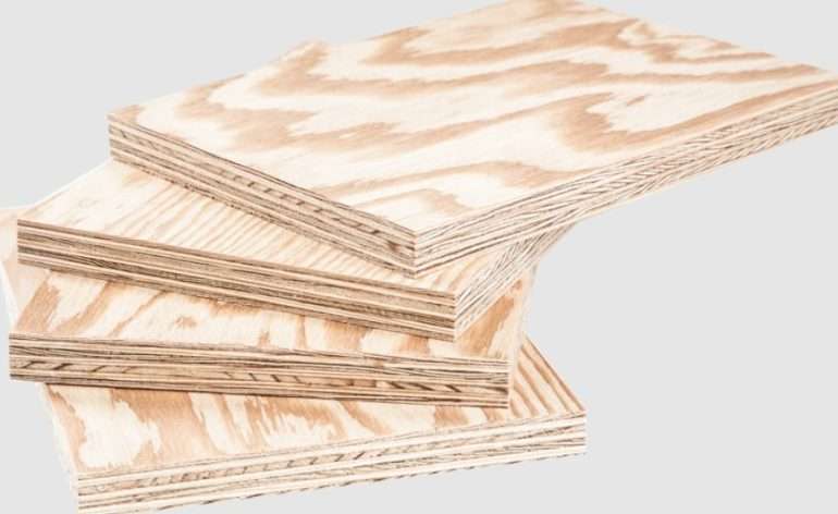 Фанера хвойная или берёзовая: что лучше для разных задач