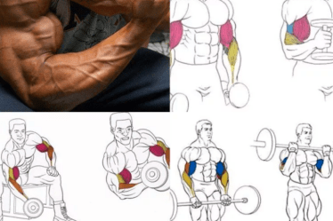 Качаем мышцы правильно